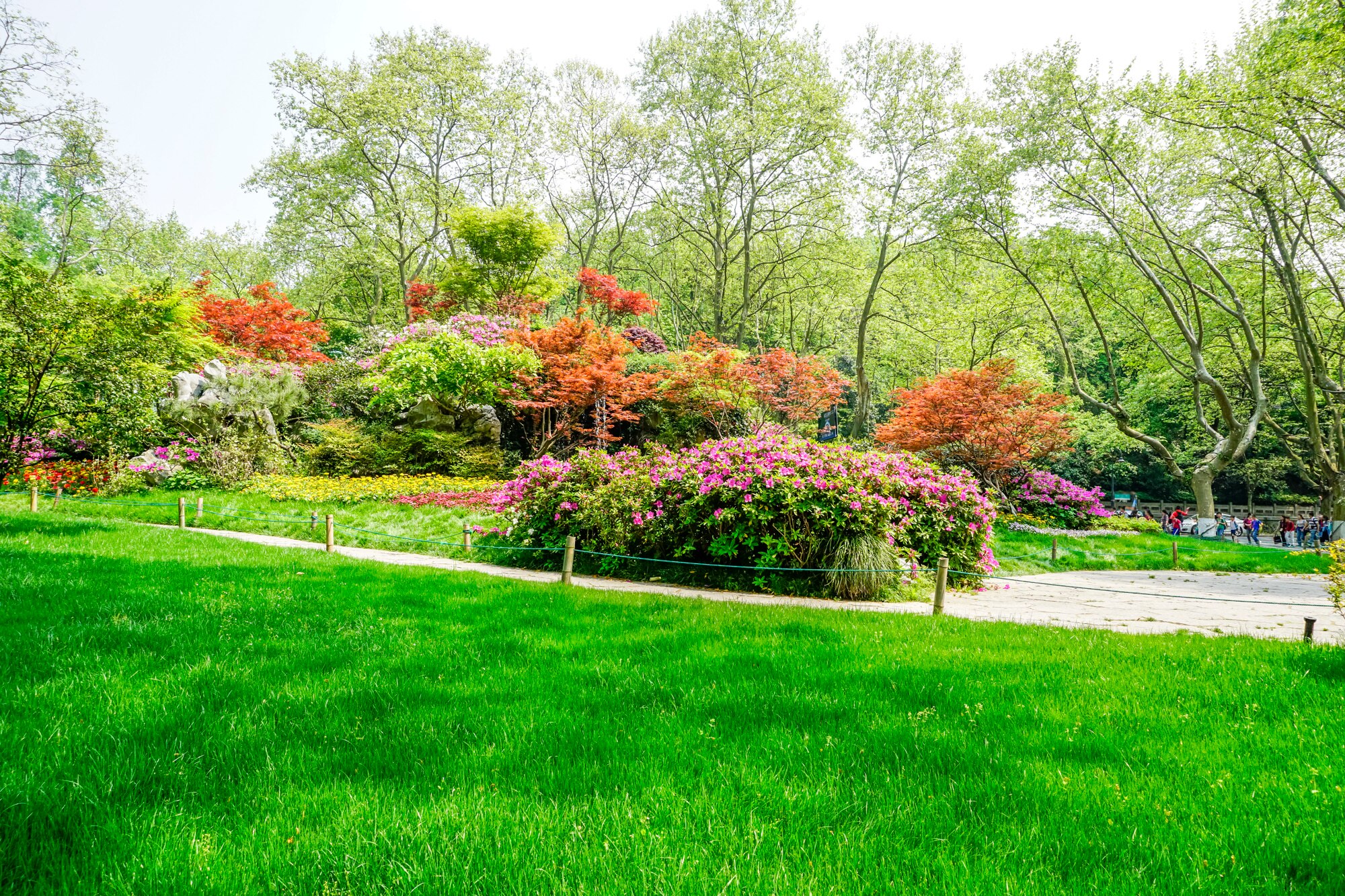 Revegetation